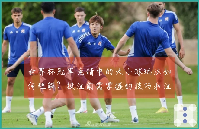 世界杯冠军竞猜中的大小球玩法如何理解？投注前需掌握的技巧和注意事项