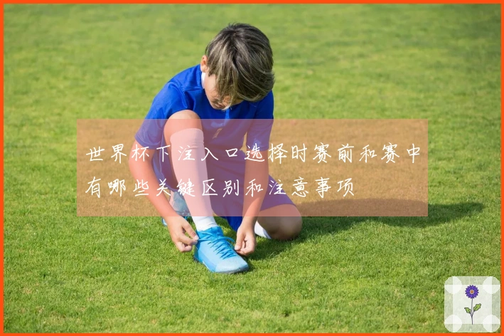 世界杯下注入口选择时赛前和赛中有哪些关键区别和注意事项