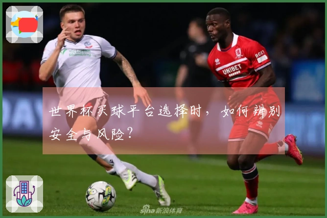 世界杯买球平台选择时，如何辨别安全与风险？