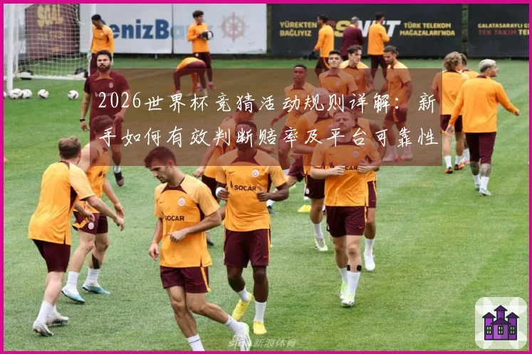 2026世界杯竞猜活动规则详解：新手如何有效判断赔率及平台可靠性