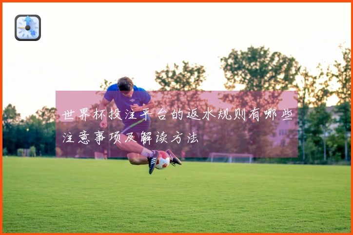 世界杯投注平台的返水规则有哪些注意事项及解读方法